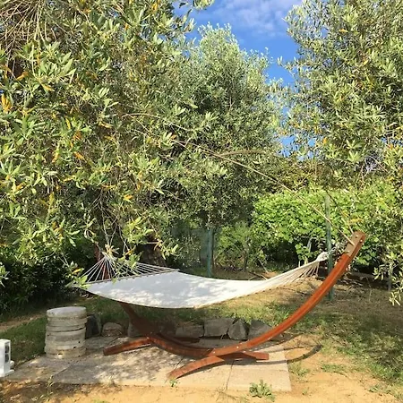 Futuro Parco Nel Centro Daire *