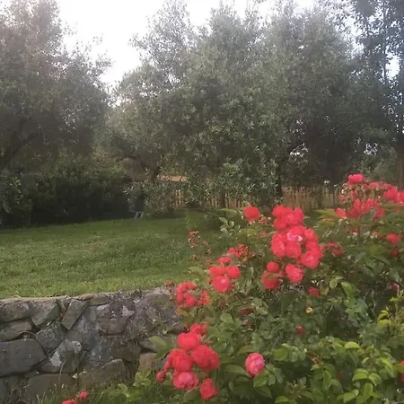 Futuro Parco Nel Centro Sarzana